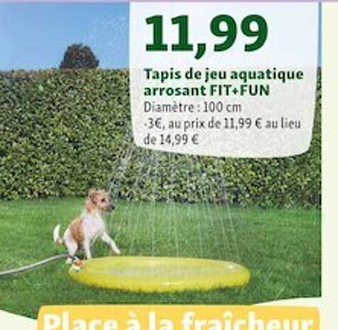 tapis de jeu aquatique arrosant fit + fun