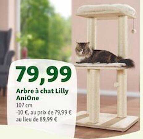arbre à chat lilly anione