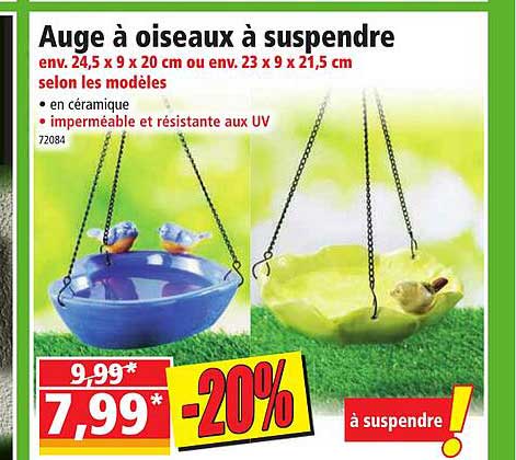 Auge à Oiseaux à Suspendre