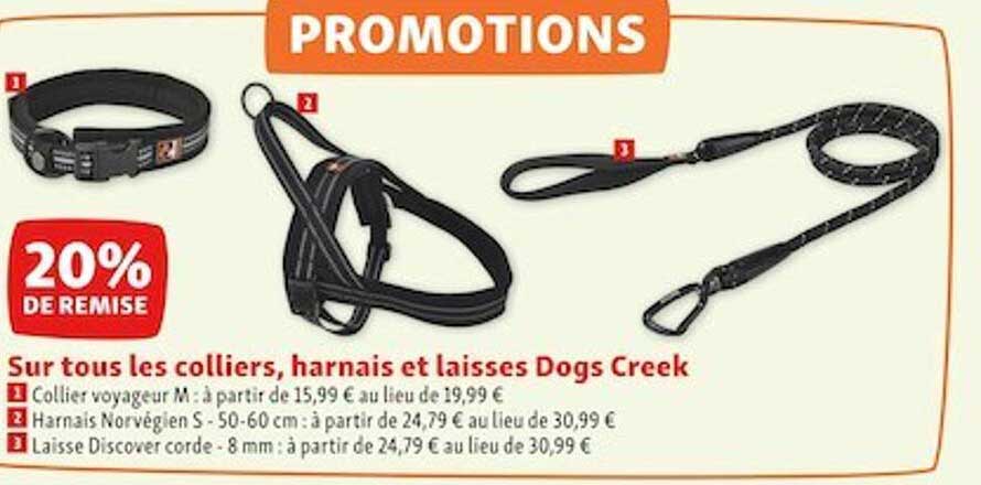 les colliers, harnais et laisses dogs creek
