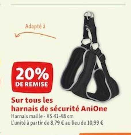 Les Harnais De Sécurité Anione