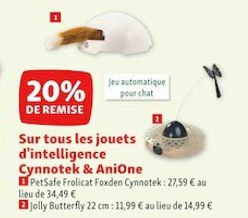 les jouets d'intelligence cynnotek & anione