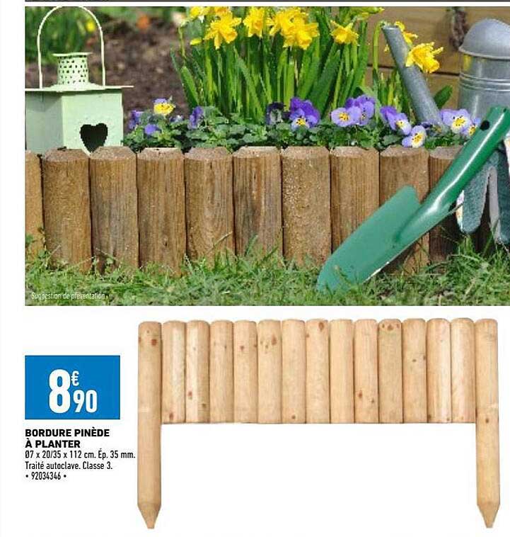 bordure pinède à planter