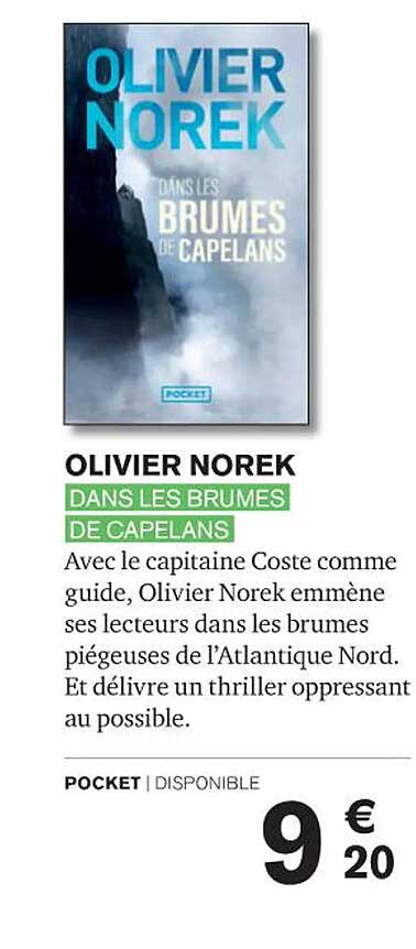 Dans Les Brumes De Capelans - Olivier Norek
