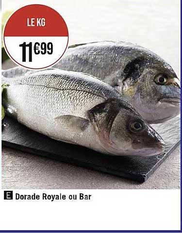 Dorade Royale Ou Bar
