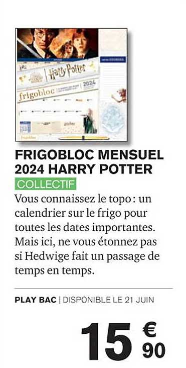 frigobloc mensuel 2024 harry potter - collectif