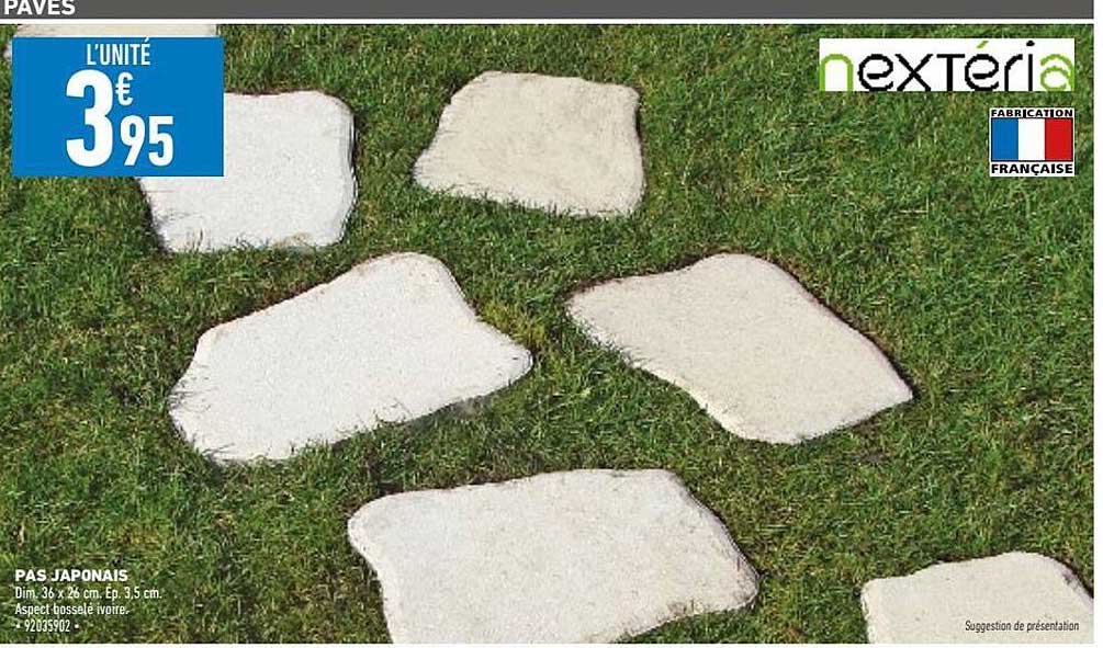 pas japonais nextéria