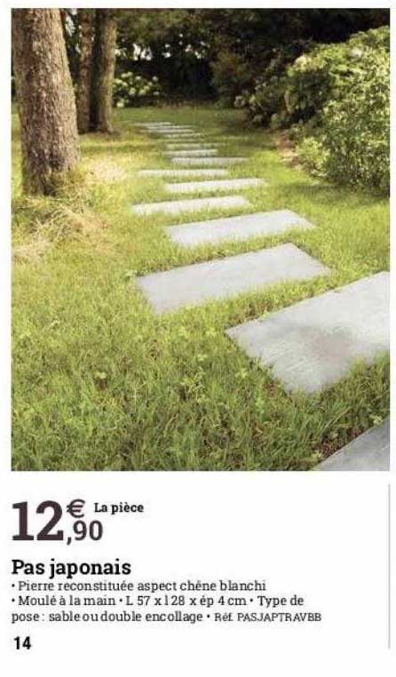 pas japonais