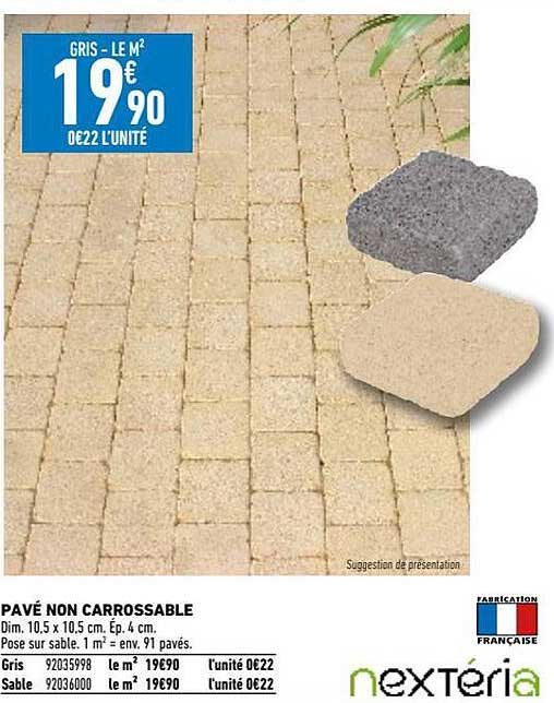 pavé non carrossable nextéria