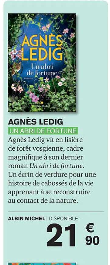 un abri de fortune - agnès ledig