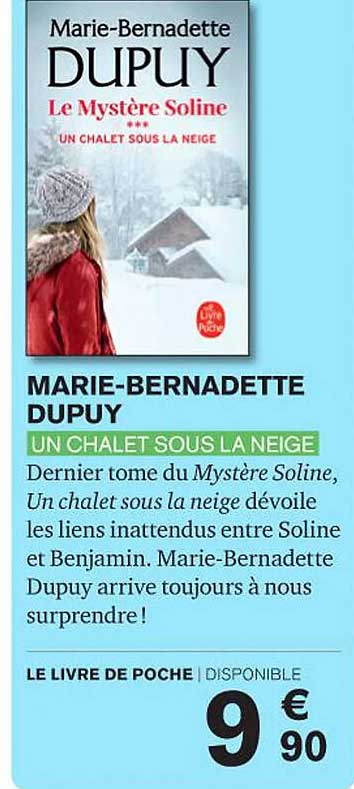 un chalet sous la neige - marie-bernadette dupuy