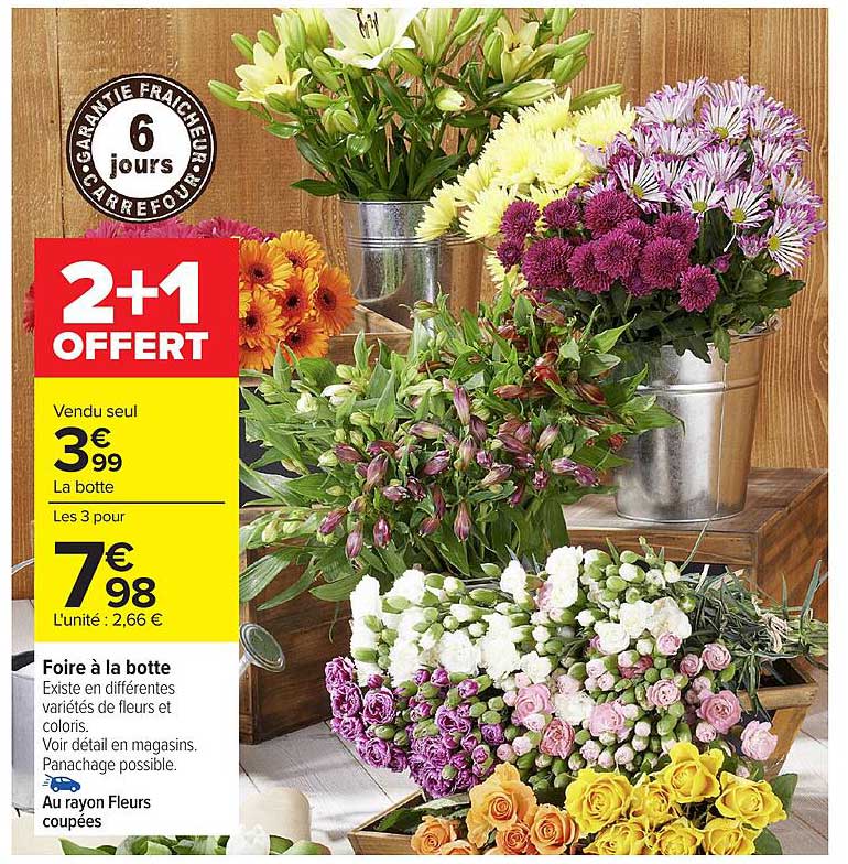 2+1 OFFERT