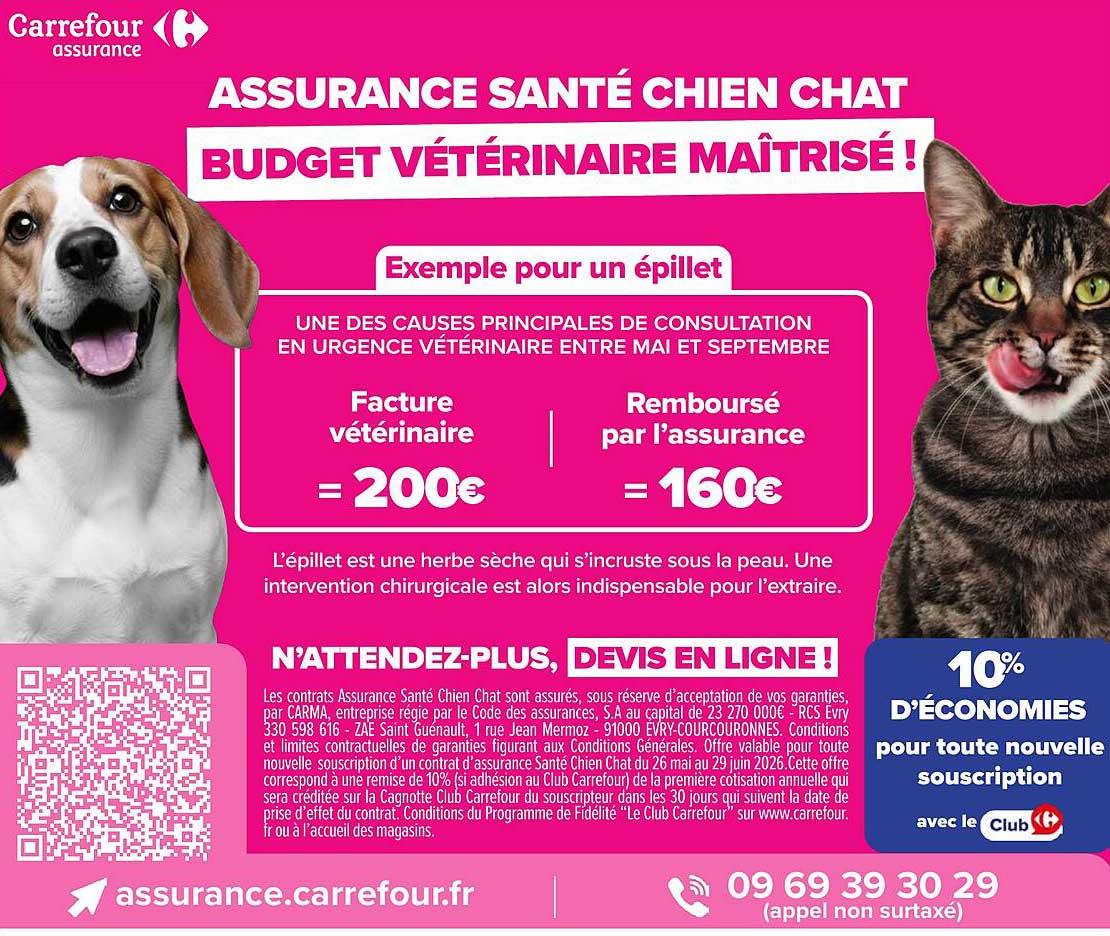 ASSURANCE SANTÉ CHIEN CHAT