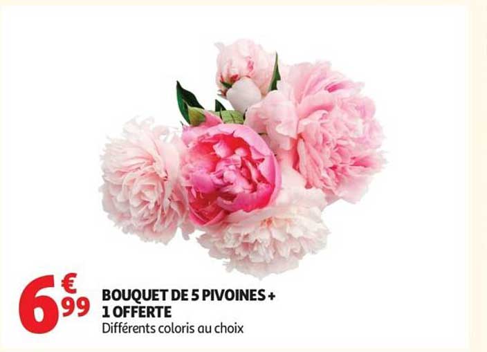 BOUQUET DE 5 PIVOINES + 1 OFFERTE