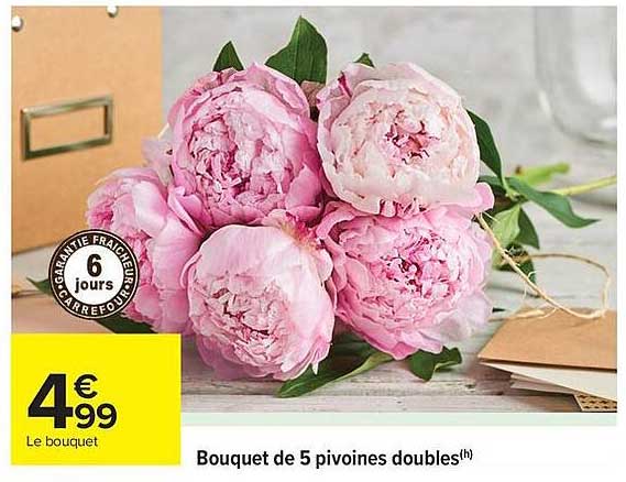 Bouquet de 5 pivoines doubles