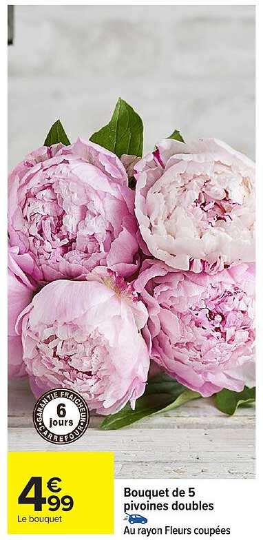 Bouquet de 5 pivoines doubles