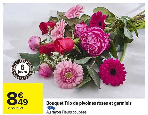 Bouquet Trio de pivoines roses et germinis