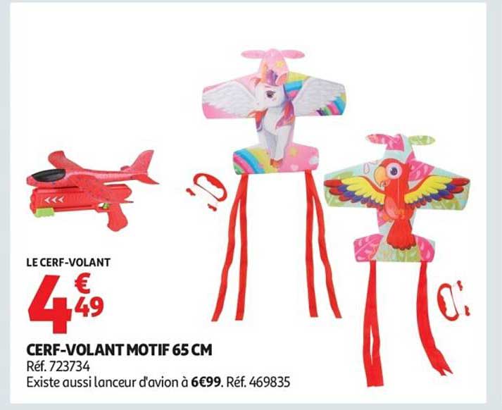 CERF-VOLANT MOTIF 65 CM