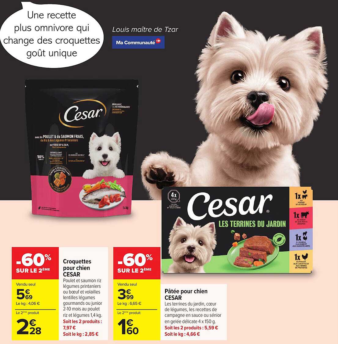Cesar