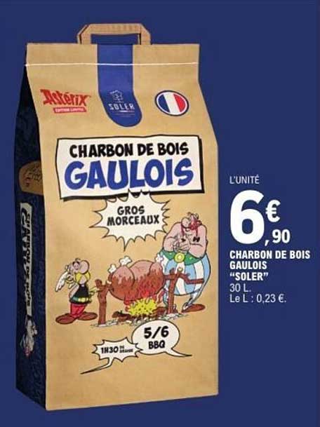 CHARBON DE BOIS GAULOIS