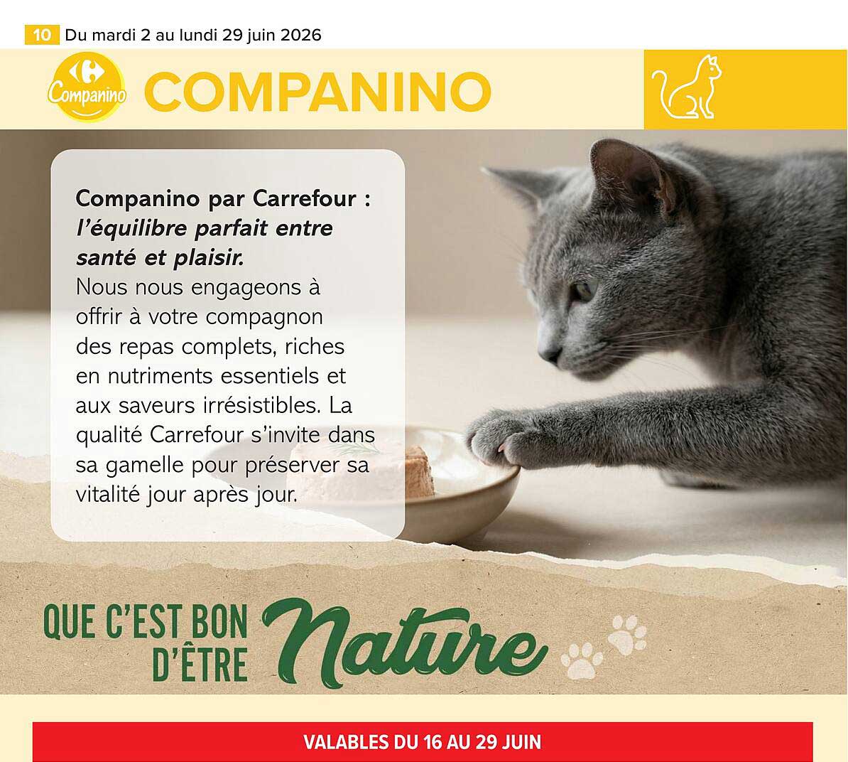 COMPANINO