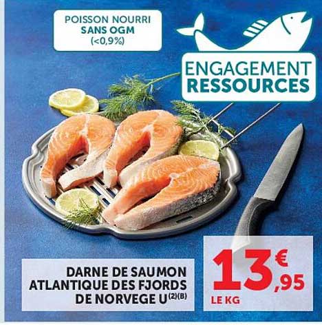 DARNE DE SAUMON ATLANTIQUE DES FJORDS DE NORVEGE
