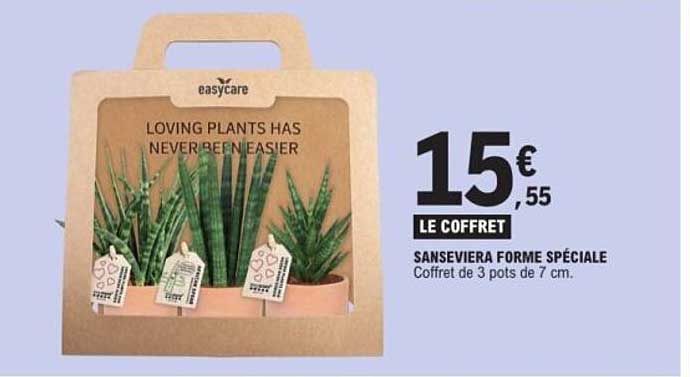 easycare SANSEVIERA FORME SPÉCIALE