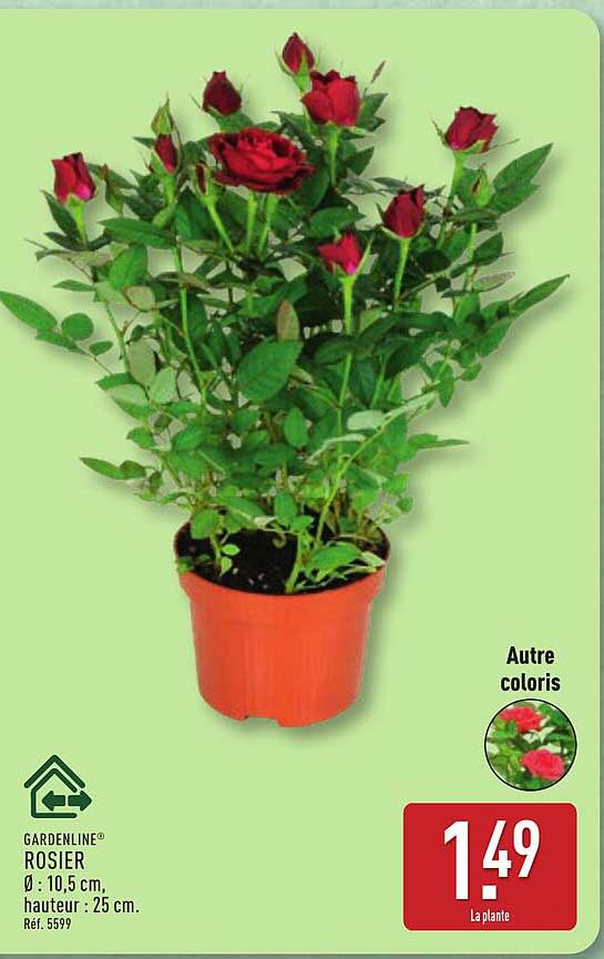 GARDENLINE ROSIER