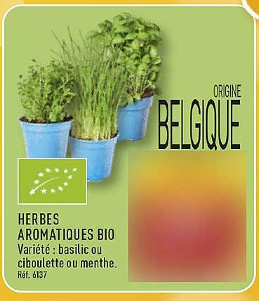 HERBES AROMATIQUES BIO
