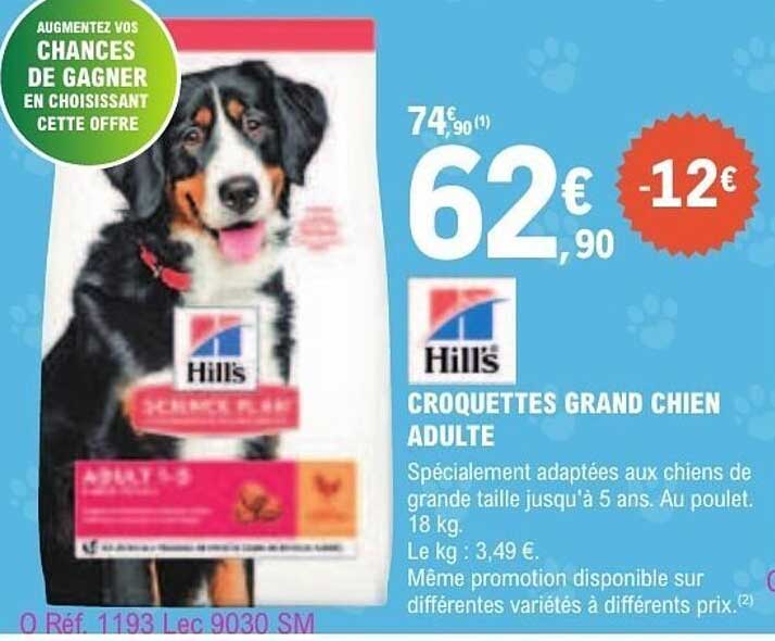 Hill's CROQUETTES GRAND CHIEN ADULTE
