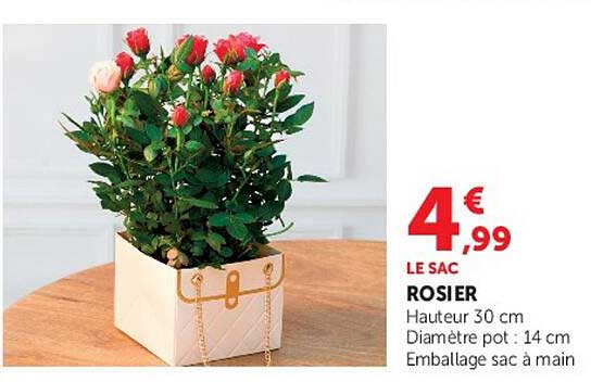 LE SAC ROSIER