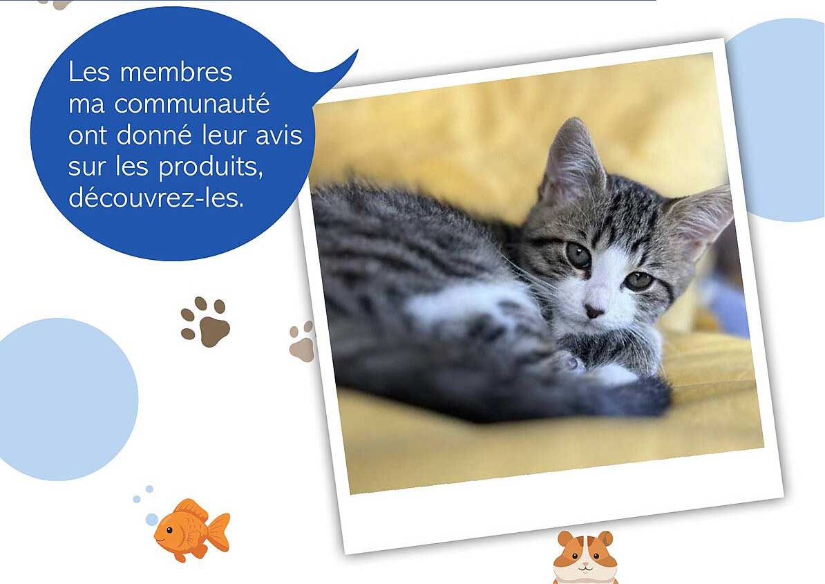 Les membres ma communauté ont donné leur avis sur les produits, découvrez-les