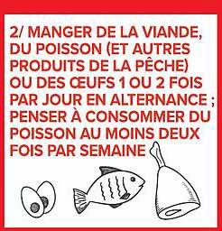 MANGER DE LA VIANDE, DU POISSON, DU POISSON, DES AUTRES PRODUITS DE LA PÊCHE OU DES OEUFS 1 OU 2 FOIS PAR JOUR EN ALTERNANCE ; PENSER À CONSOMMER DU POISSON AU MOINS DEUX FOIS PAR SEMAINE