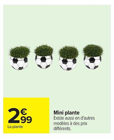 Mini plante