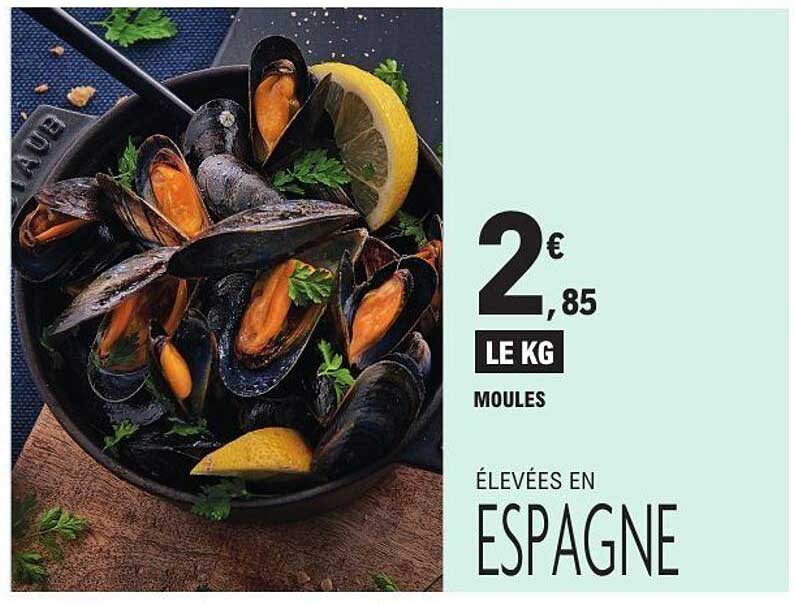 MOULES