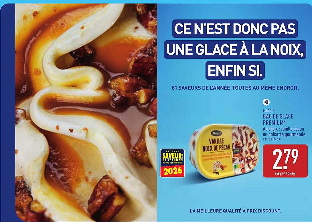 MUCCI Bac de glace premium