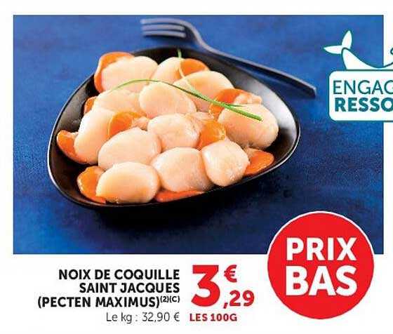 NOIX DE COQUILLE SAINT JACQUES