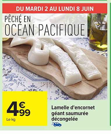 PÊCHÉ EN OCÉAN PACIFIQUE