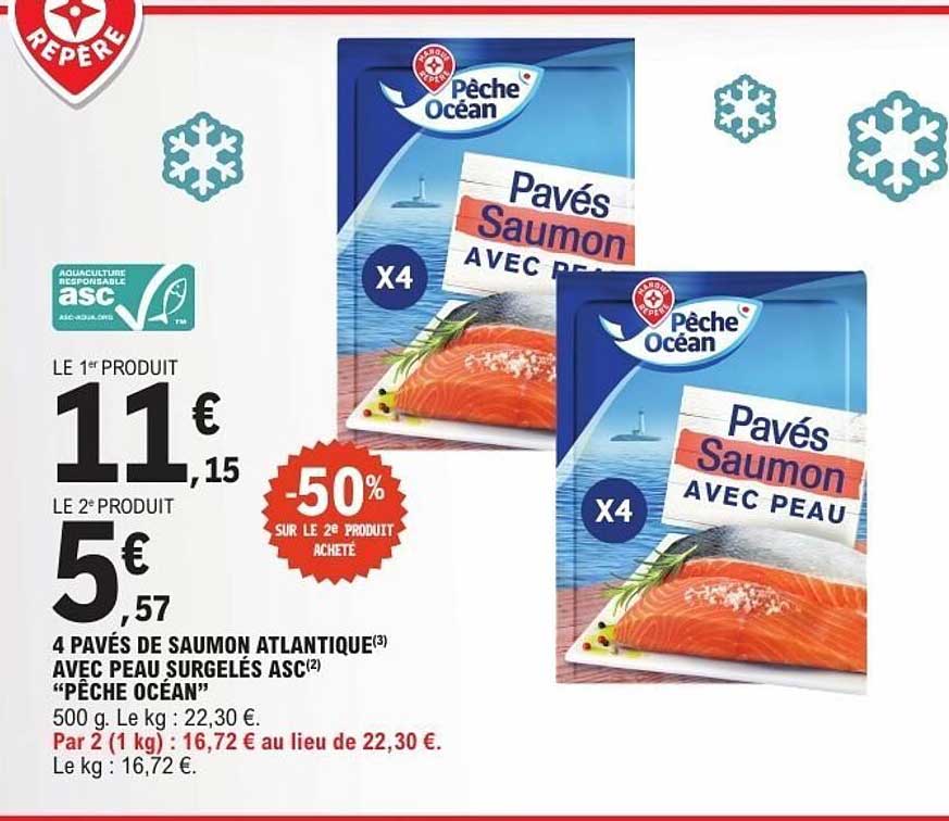 Pêche Océan Pavés Saumon