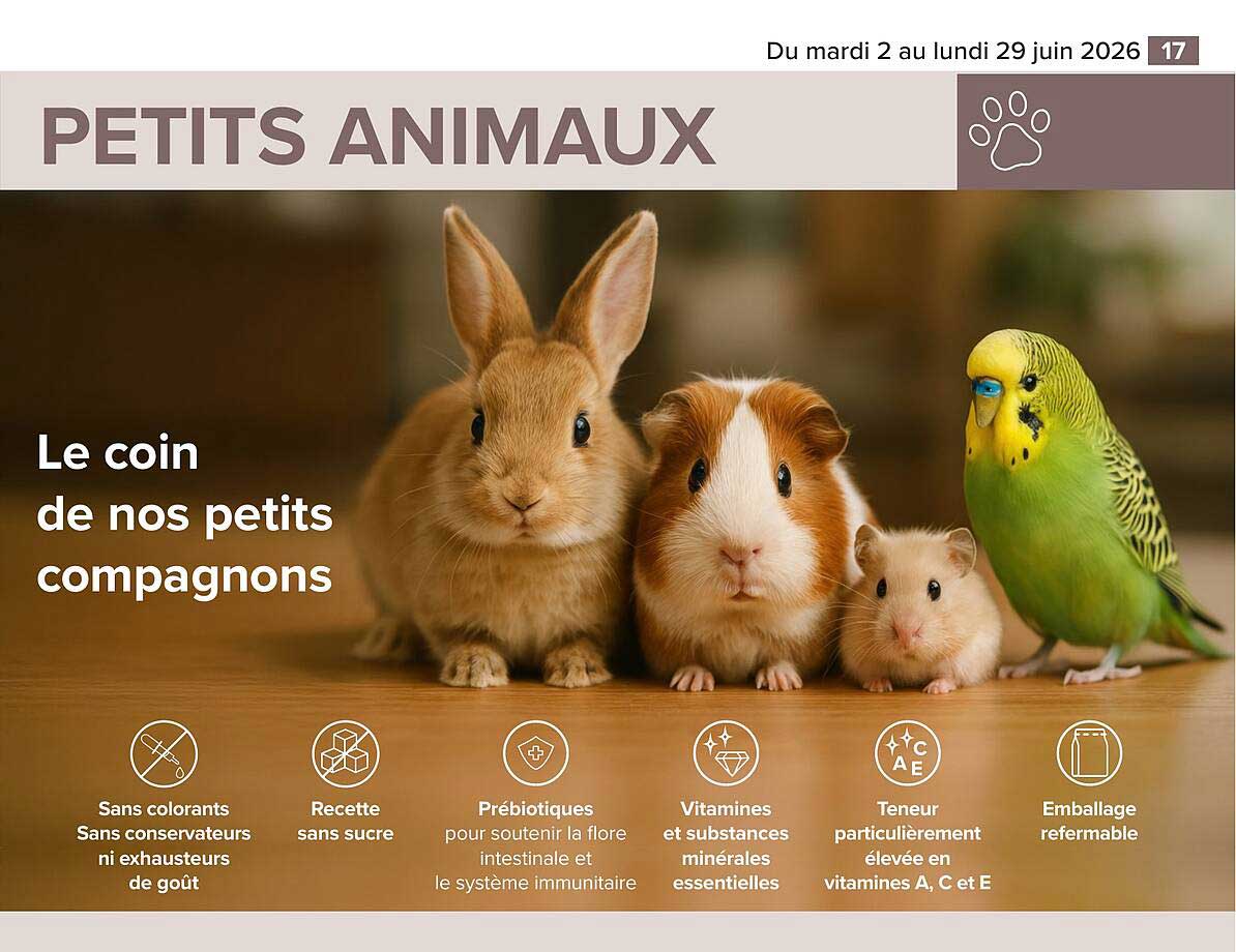 PETITS ANIMAUX