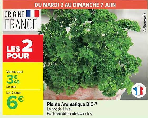 Plante Aromatique BIO
