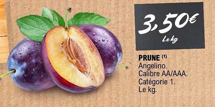 PRUNE Angelino
