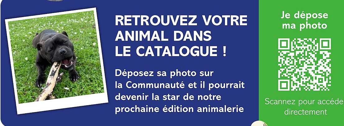 RETROUVEZ VOTRE ANIMAL DANS LE CATALOGUE !