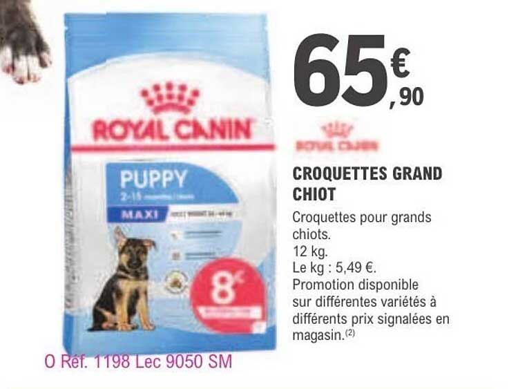 ROYAL CANIN CROQUETTES GRAND CHIOT
