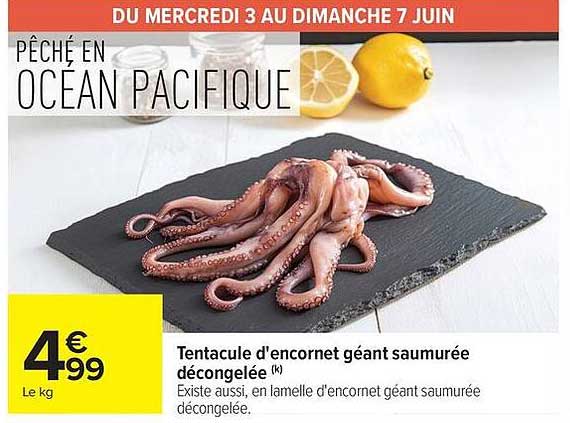 Tentacule d'encornet géant saumurée décongelée