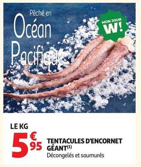 Tentacules d'encornet géant