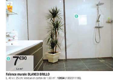 faïence murale blanco brillo