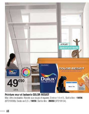 peinture mur et boiserie color resist