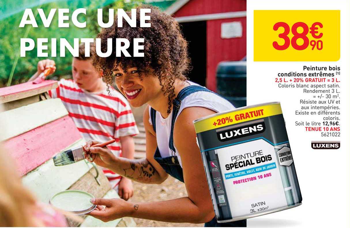 peinture bois conditions extrêmes luxens