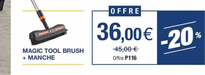 magic tool brush + manche